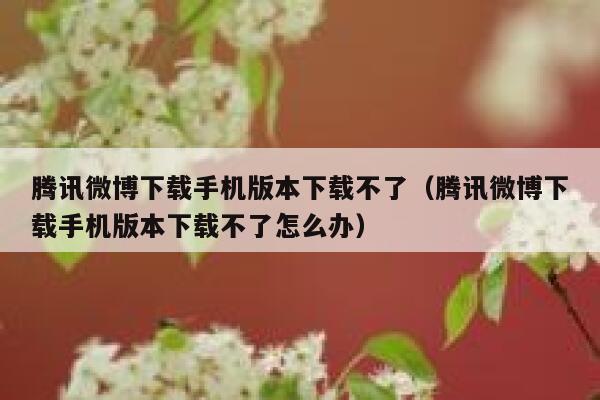 腾讯微博下载手机版本下载不了（腾讯微博下载手机版本下载不了怎么办） 第1张