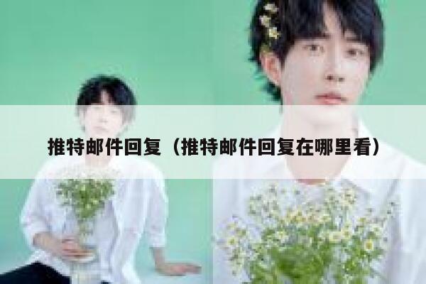 推特邮件回复（推特邮件回复在哪里看） 第1张