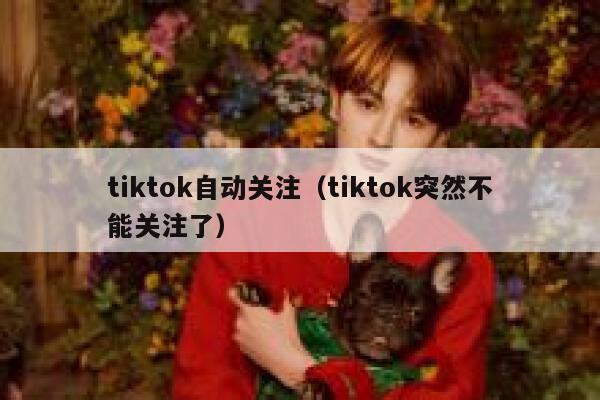 tiktok自动关注（tiktok突然不能关注了） 第1张