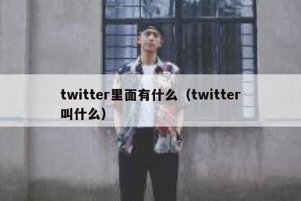 twitter里面有什么（twitter叫什么） 第1张