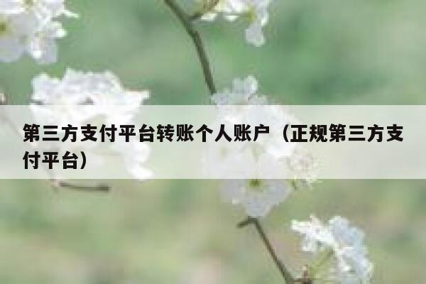 第三方支付平台转账个人账户（正规第三方支付平台） 第1张