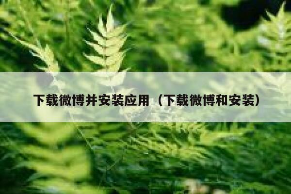 下载微博并安装应用（下载微博和安装） 第1张