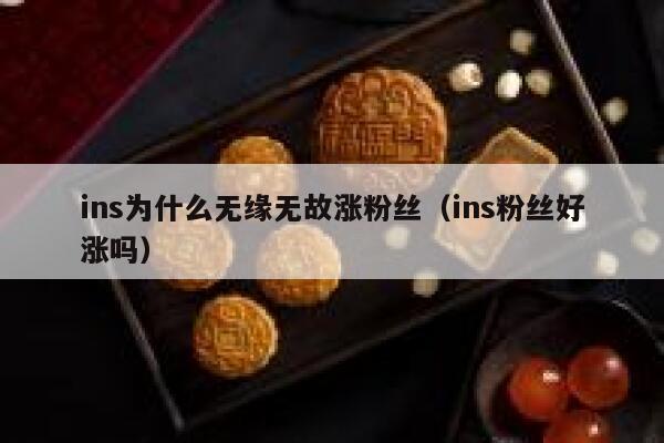 ins为什么无缘无故涨粉丝（ins粉丝好涨吗） 第1张