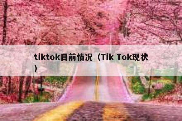 tiktok目前情况（Tik Tok现状） 第1张