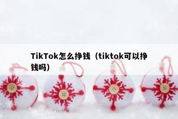 TikTok怎么挣钱（tiktok可以挣钱吗） 第1张
