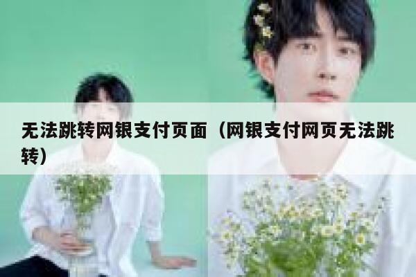 无法跳转网银支付页面（网银支付网页无法跳转） 第1张