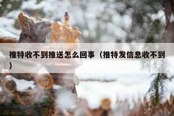 推特收不到推送怎么回事(推特发信息收不到) 第1张 推特收不到推送怎么回事(推特发信息收不到) 第1张