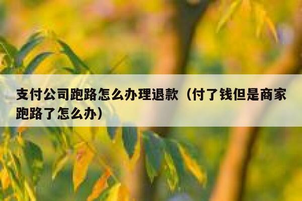 支付公司跑路怎么办理退款（付了钱但是商家跑路了怎么办） 第1张