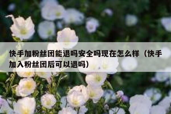 快手加粉丝团能退吗安全吗现在怎么样（快手加入粉丝团后可以退吗） 第1张