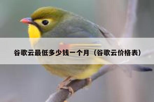 谷歌云最低多少钱一个月（谷歌云价格表） 第1张