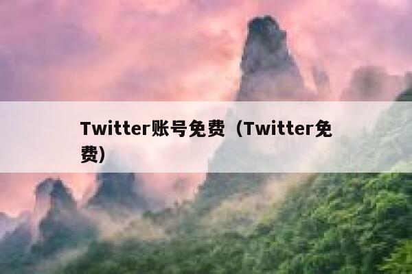 Twitter账号免费（Twitter免费） 第1张