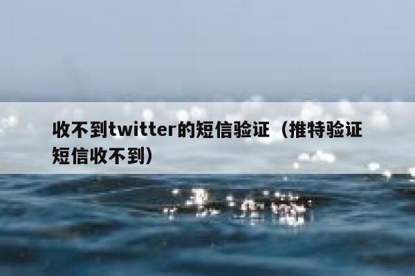 收不到twitter的短信验证（推特验证短信收不到） 第1张