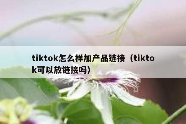 tiktok怎么样加产品链接（tiktok可以放链接吗） 第1张
