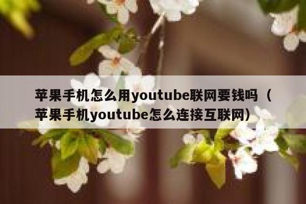 苹果手机怎么用youtube联网要钱吗(苹果手机youtube怎么连接互联网) 第1张 苹果手机怎么用youtube联网要钱吗(苹果手机youtube怎么连接互联网) 第1张