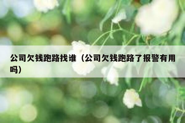 公司欠钱跑路找谁（公司欠钱跑路了报警有用吗） 第1张