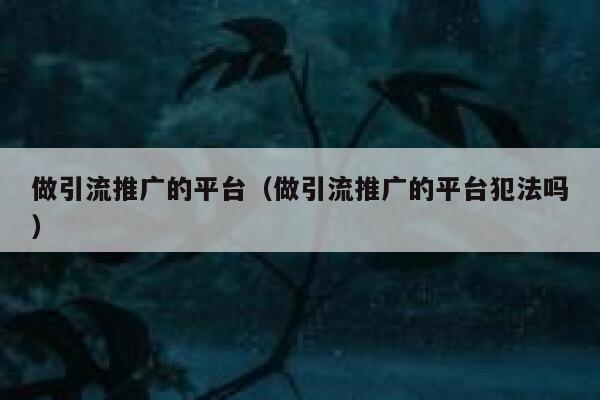 做引流推广的平台(做引流推广的平台犯法吗) 第1张 做引流推广的平台(做引流推广的平台犯法吗) 第1张