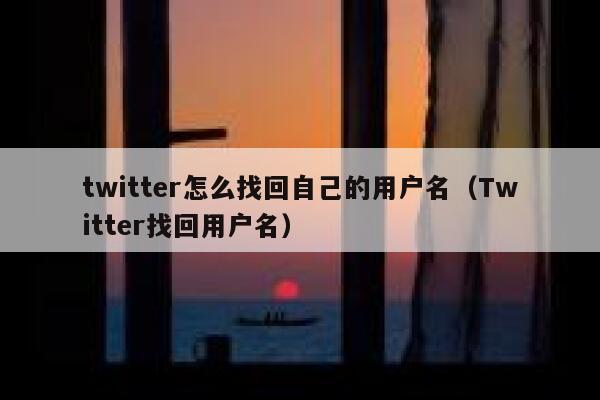 twitter怎么找回自己的用户名(Twitter找回用户名) 第1张 twitter怎么找回自己的用户名(Twitter找回用户名) 第1张