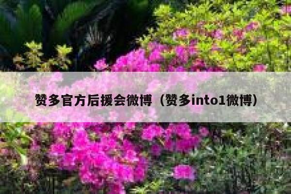 赞多官方后援会微博（赞多into1微博） 第1张