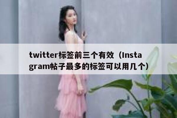 twitter标签前三个有效（Instagram帖子最多的标签可以用几个） 第1张