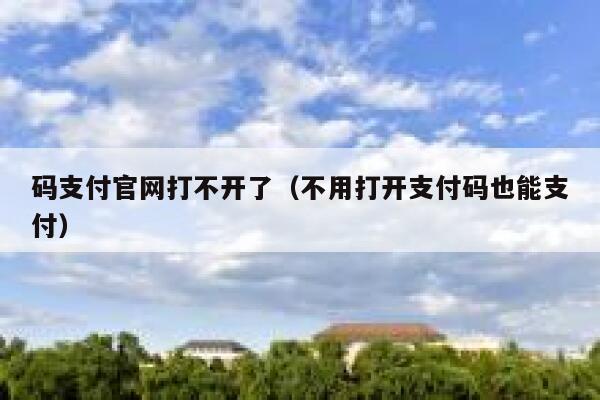 码支付官网打不开了（不用打开支付码也能支付） 第1张