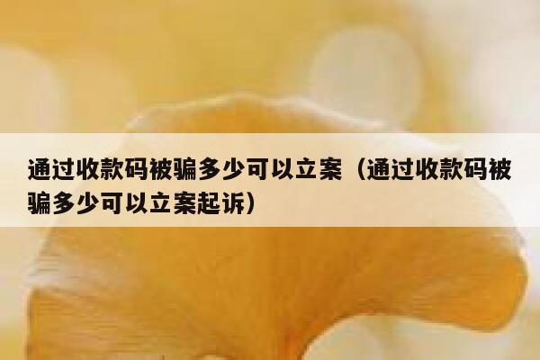 通过收款码被骗多少可以立案（通过收款码被骗多少可以立案起诉） 第1张