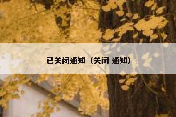 已关闭通知（关闭 通知） 第1张