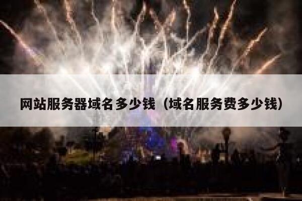 网站服务器域名多少钱（域名服务费多少钱） 第1张