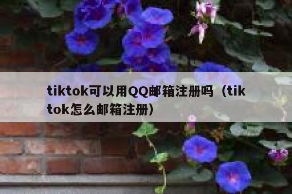 tiktok可以用QQ邮箱注册吗（tiktok怎么邮箱注册） 第1张