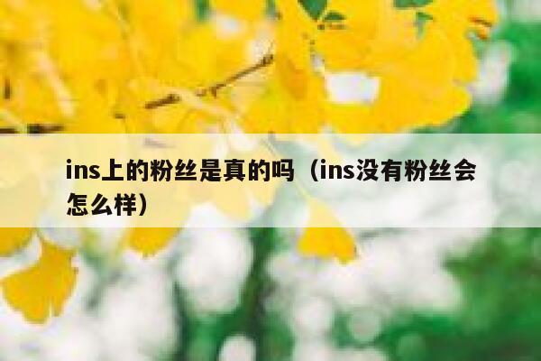 ins上的粉丝是真的吗（ins没有粉丝会怎么样） 第1张