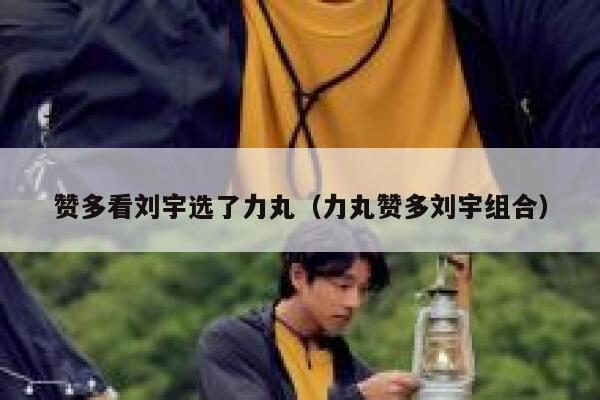 赞多看刘宇选了力丸（力丸赞多刘宇组合） 第1张