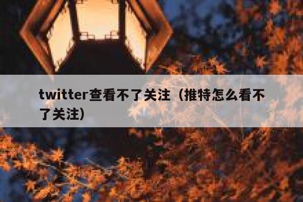 twitter查看不了关注（推特怎么看不了关注） 第1张