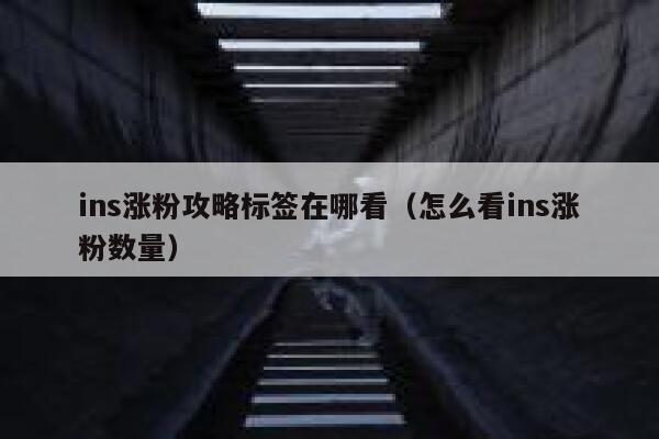 ins涨粉攻略标签在哪看（怎么看ins涨粉数量） 第1张