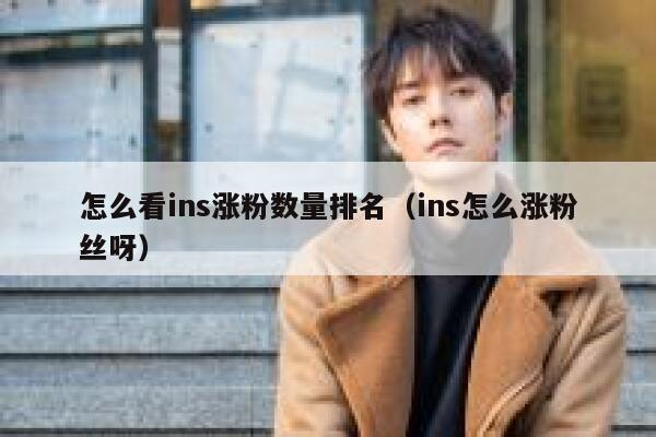 怎么看ins涨粉数量排名(ins怎么涨粉丝呀) 第1张 怎么看ins涨粉数量排名(ins怎么涨粉丝呀) 第1张