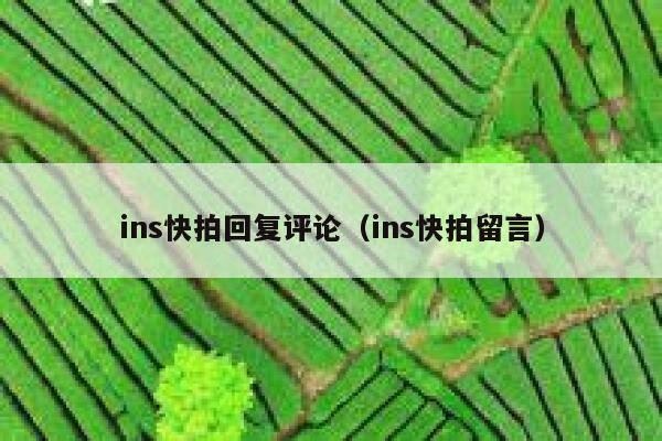 ins快拍回复评论(ins快拍留言) 第1张 ins快拍回复评论(ins快拍留言) 第1张