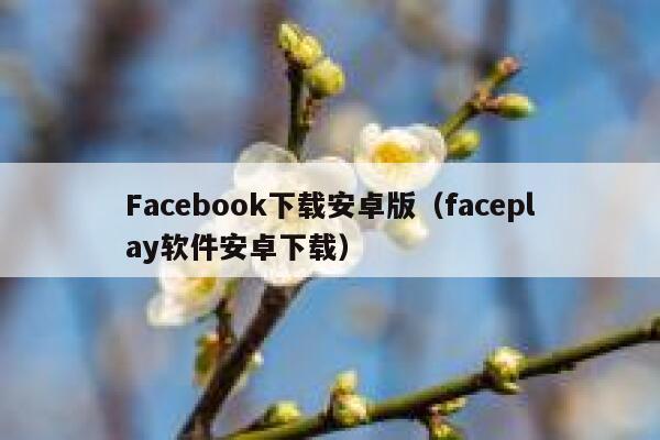 Facebook下载安卓版（faceplay软件安卓下载） 第1张
