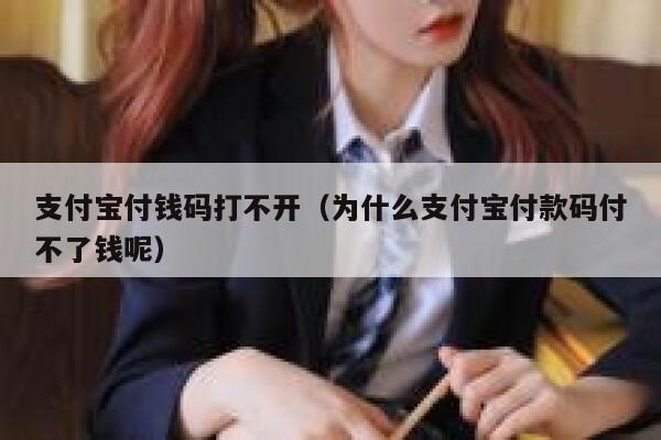 支付宝付钱码打不开（为什么支付宝付款码付不了钱呢） 第1张
