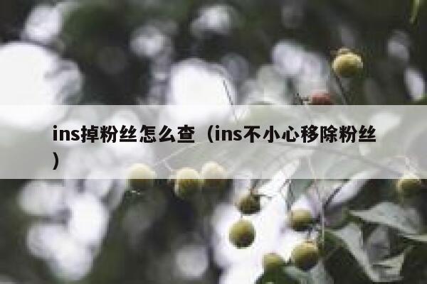 ins掉粉丝怎么查（ins不小心移除粉丝） 第1张