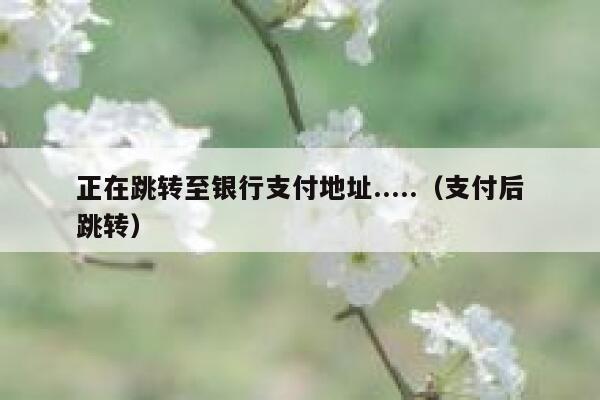 正在跳转至银行支付地址.....（支付后跳转） 第1张