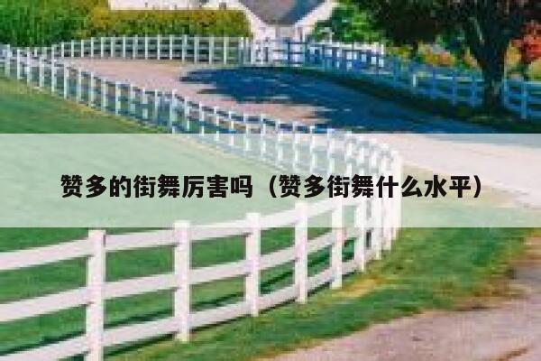 赞多的街舞厉害吗(赞多街舞什么水平) 第1张 赞多的街舞厉害吗(赞多街舞什么水平) 第1张