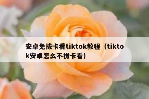安卓免拔卡看tiktok教程(tiktok安卓怎么不拔卡看) 第1张 安卓免拔卡看tiktok教程(tiktok安卓怎么不拔卡看) 第1张