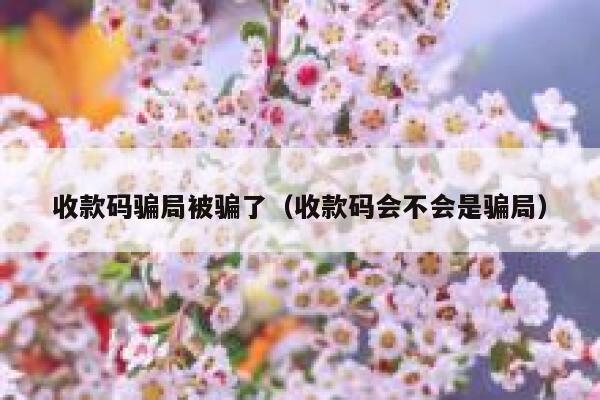 收款码骗局被骗了（收款码会不会是骗局） 第1张
