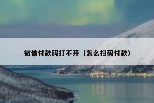 微信付款码打不开（怎么扫码付款） 第1张