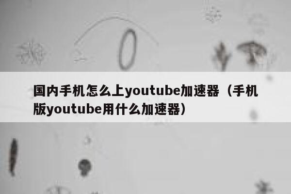国内手机怎么上youtube加速器（手机版youtube用什么加速器） 第1张