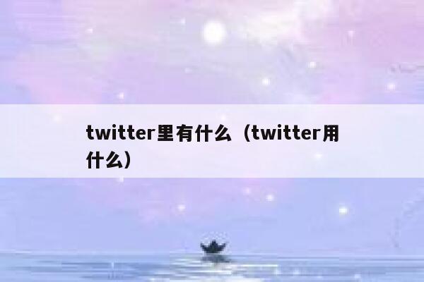 twitter里有什么（twitter用什么） 第1张
