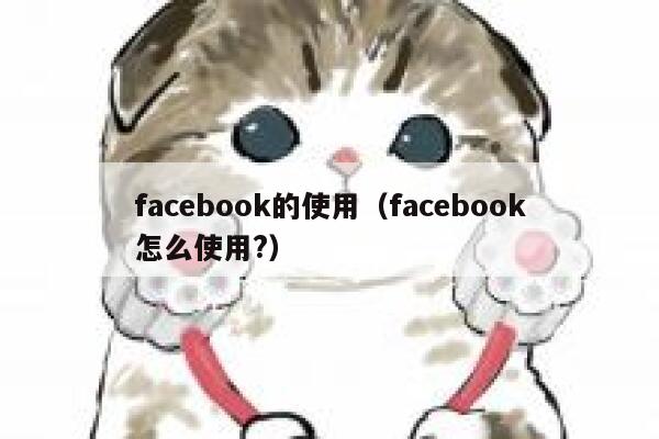 facebook的使用（facebook怎么使用?） 第1张