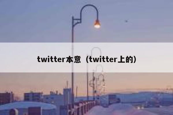 twitter本意（twitter上的） 第1张