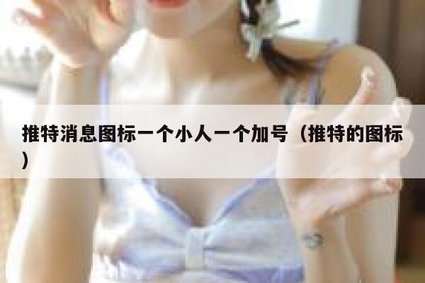 推特消息图标一个小人一个加号（推特的图标） 第1张