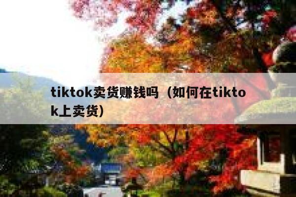 tiktok卖货赚钱吗(如何在tiktok上卖货) 第1张 tiktok卖货赚钱吗(如何在tiktok上卖货) 第1张