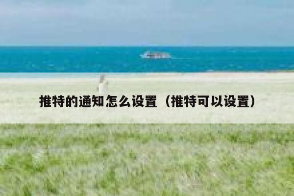 推特的通知怎么设置（推特可以设置） 第1张