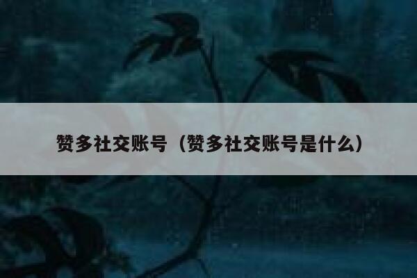 赞多社交账号（赞多社交账号是什么） 第1张